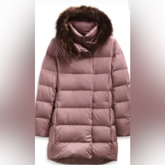 The North Face New Dealio Water Repellant 550 Fill Power Down Parka - Picture 4 of 8